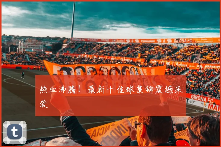 热血沸腾！最新十佳球集锦震撼来袭