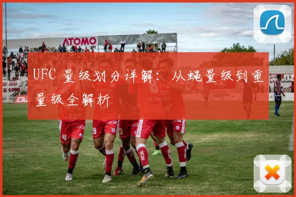 UFC 量级划分详解：从蝇量级到重量级全解析