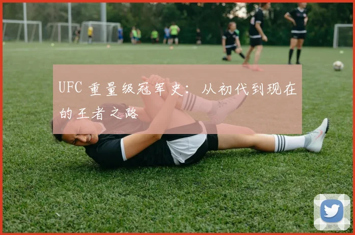 UFC 重量级冠军史：从初代到现在的王者之路