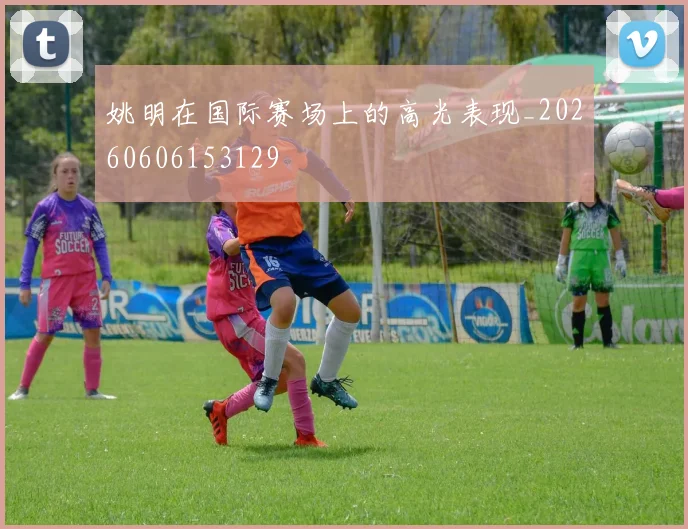 姚明在国际赛场上的高光表现_20260606153129