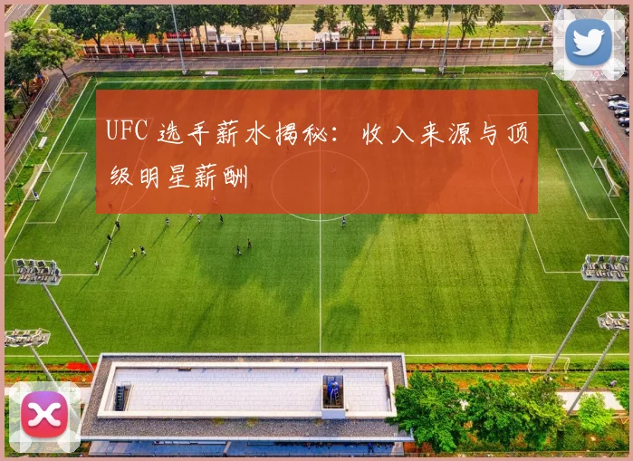 UFC 选手薪水揭秘：收入来源与顶级明星薪酬
