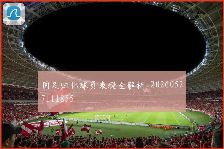 国足归化球员表现全解析_20260527111855