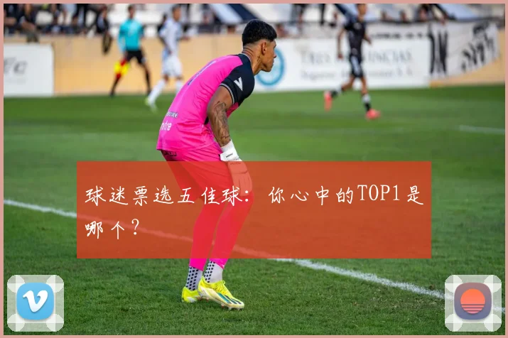球迷票选五佳球：你心中的TOP1是哪个？