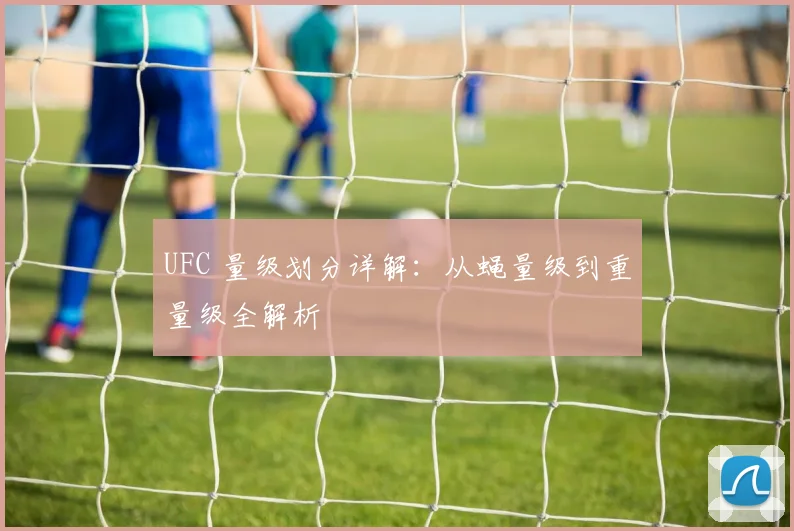 UFC 量级划分详解：从蝇量级到重量级全解析